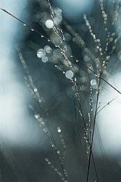 非2023年游戏热度排名 《艾尔登法环》玩家最爱